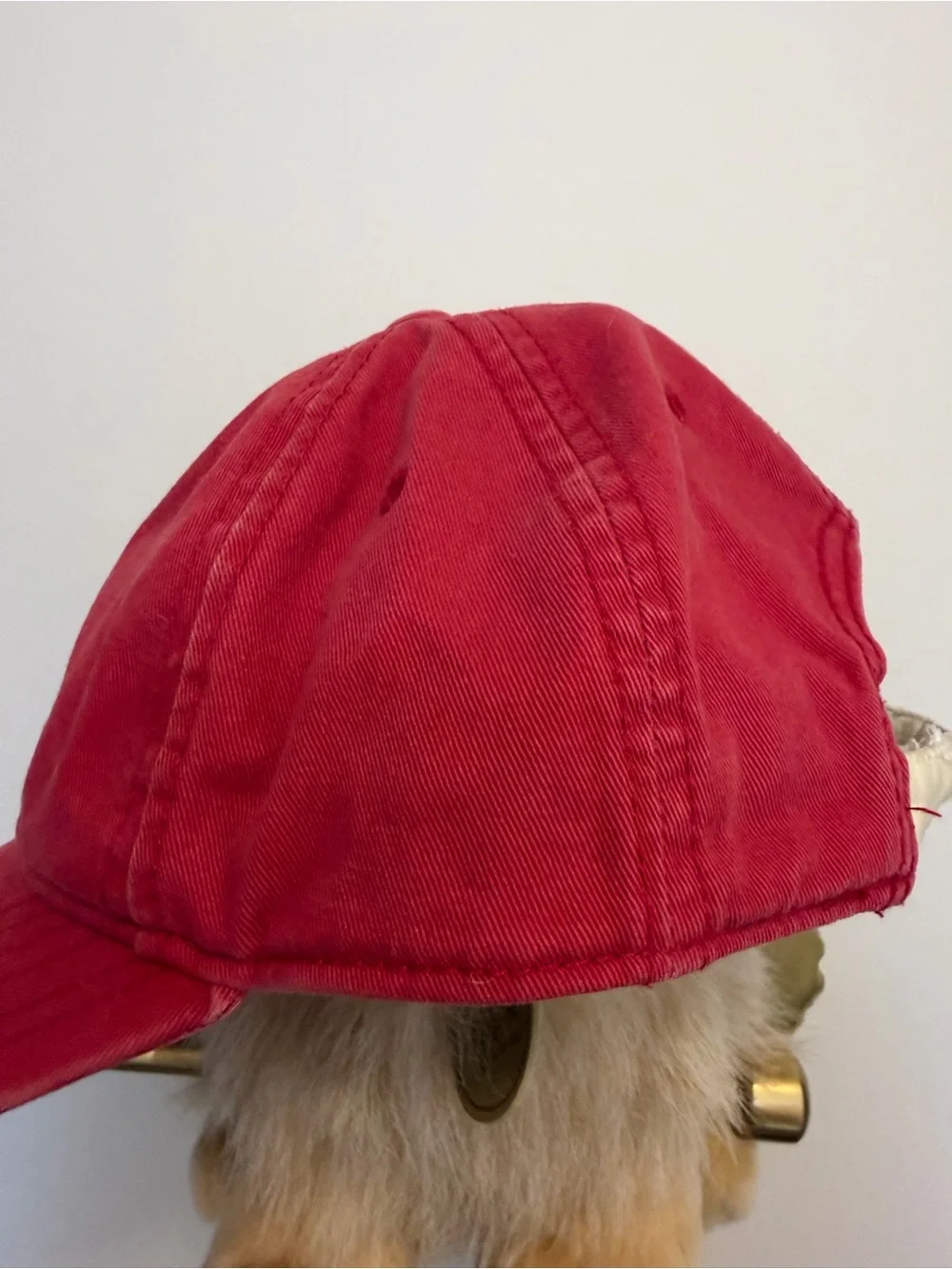 Kids Red Dino Embroidered Baseball Hat